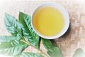 Tác dụng của nước lá vối khiến nhiều người bất ngờ