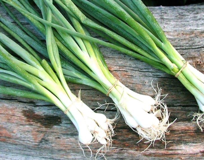 Một số công dụng của hành lá